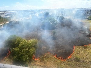 Incêndio de grandes proporções atinge vegetação na Avenida Menino Marcelo