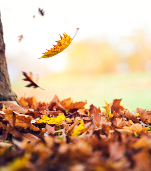 Fim do verão: Outono inicia com temperaturas acima da média e chuvas irregulares