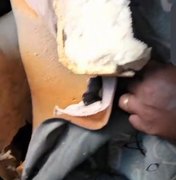 Vândalos destroem ônibus do programa Caminhos da Universidade em Palmeira dos Índios