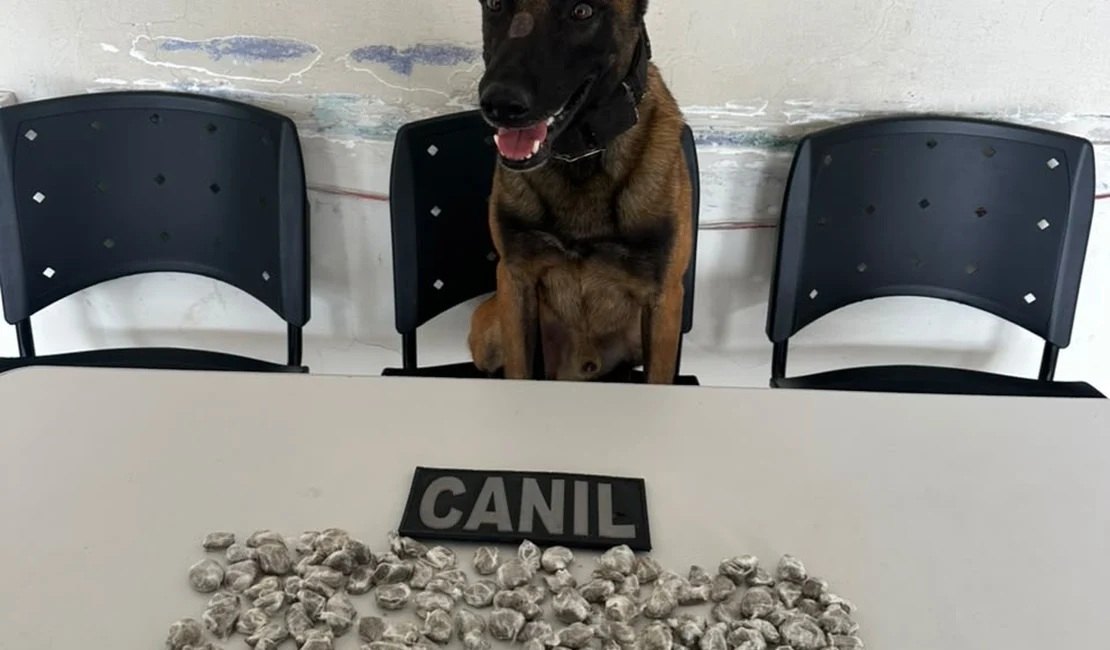 Cão farejador localiza drogas escondidas em obra no bairro Canafístula