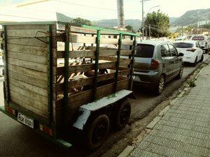 Operação no Sertão  prende quadrilha acusada de roubar gado