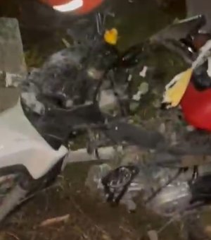 Motociclista fica ferido ao colidir contra cavalo solto na pista no município de Anadia