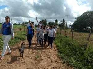 Estudantes dão novo uso a plantas e criam alternativa para cuidado de cabelos em Palmeira 