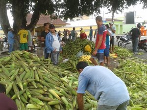 Copa faz preço do milho cair e atrapalha comércio do produto em Arapiraca