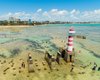 Maceió se destaca na baixa temporada e ganha força como destino o ano todo