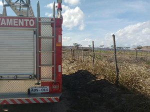 Vegetação pega fogo na AL-110 e incêndio assusta moradores da região