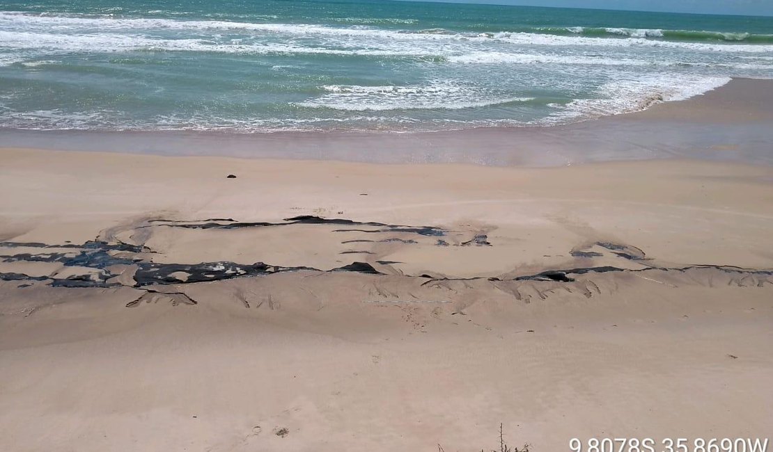 Manchas de óleo deixaram lições de preservação ao meio ambiente em Alagoas