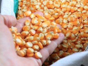 Bancos apresentam propostas de crédito rural para produção de grãos