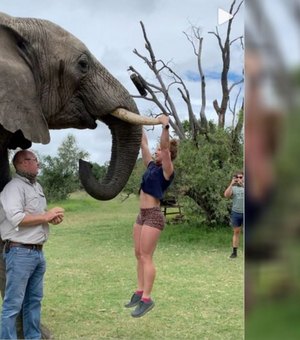Empresária gera revolta ao fazer flexões nas presas de elefante