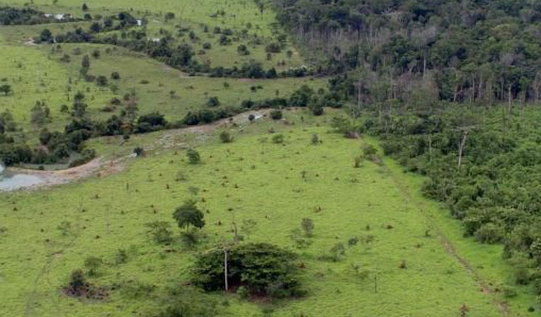 Proprietário rural pode emitir Certificado de Cadastro de Imóvel