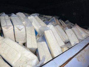 Cerca de mil quilos de queijo são apreendidos em laticínio clandestino no Sertão de AL
