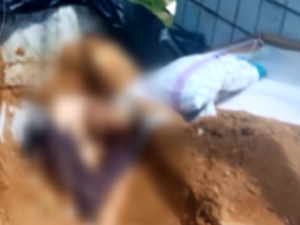 Corpo retirado de sepultura é encontrado sentado em cima de túmulo em PE