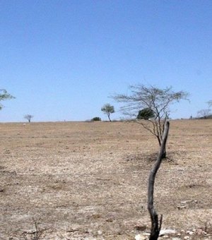 Relatório aponta Alagoas como o estado mais afetado pela desertificação no Brasil