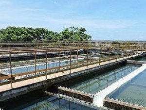 Falta de energia afeta abastecimento de água em Palmeira dos Índios e zona rural de Quebrangulo