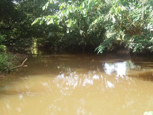 Fiocruz confirma bactéria capaz de transmitir cólera em rio de Porto Calvo