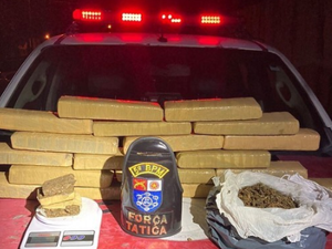 Polícia apreende 11 quilos de maconha na Feirinha do Tabuleiro