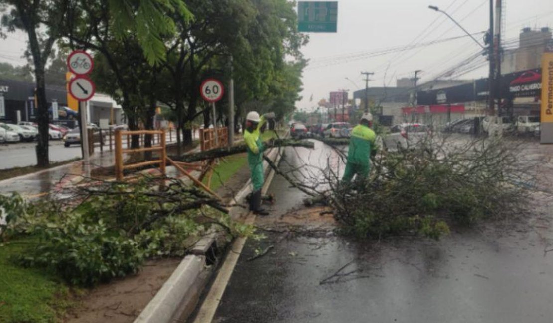 Prefeitura de Maceió realiza ações contra transtornos em decorrência das fortes chuvas