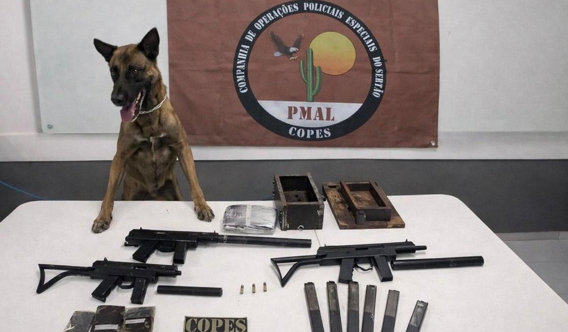 Polícia Militar apreende metralhadoras e drogas em ônibus interestadual, no Sertão