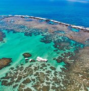 Maragogi mantém turismo com piscinas naturais, apesar da suspensão da Lagoa Azul