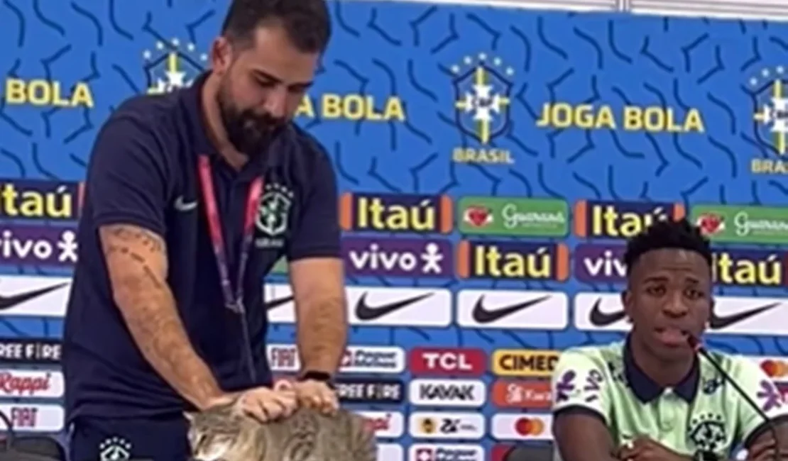 Teoria da 'maldição do gato' associada à eliminação do Brasil na Copa volta a viralizar