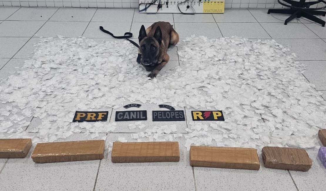 Polícia encontra R$ 500 mil em drogas dentro de van e prende suspeito no Sertão de AL