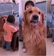 Cão leal protege menina que chora ao ser repreendida pela mãe e viraliza