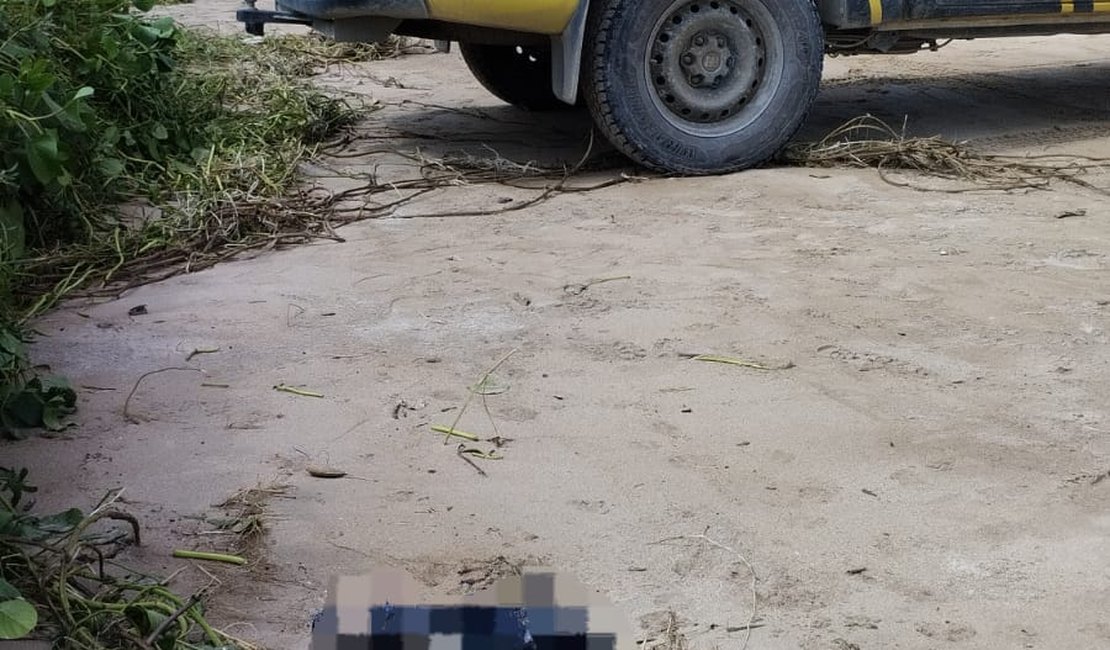 Ossada humana é achada em praia de São Miguel dos Milagres
