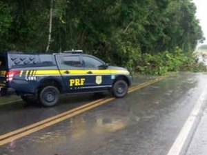 Procurado pala Justiça, homem é preso pela PRF dirigindo carro com placa de Arapiraca na BR 101