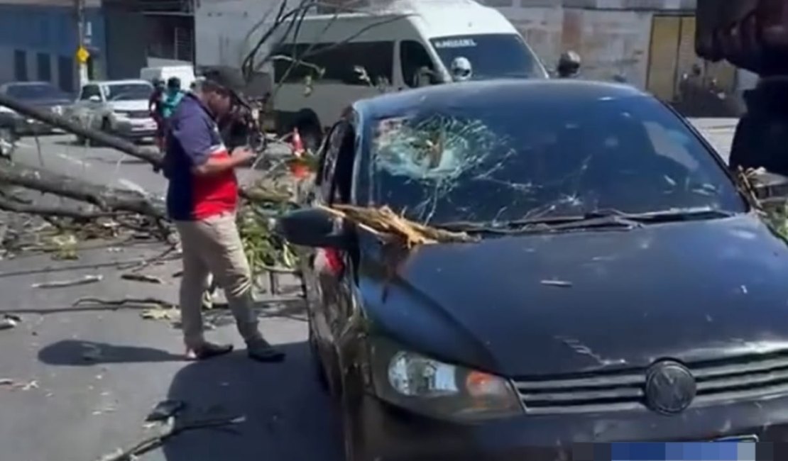Árvore cai e atinge carro que passava pela Avenida Leste-Oeste, em Maceió