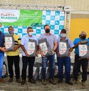 Programa Planta Alagoas: Cerca de 50 mil alagoanos comemoram o início da safra e qualidade dos grãos