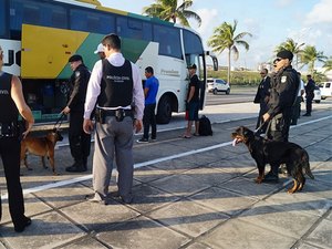 Polícia utiliza cães farejadores para combater tráfico