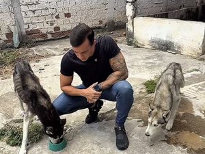 Em Arapiraca, deputado resgata animais com anorexia, anemia e infecção, dono foi detido