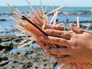 Maceió pode ser a próxima cidade a banir canudos de plástico