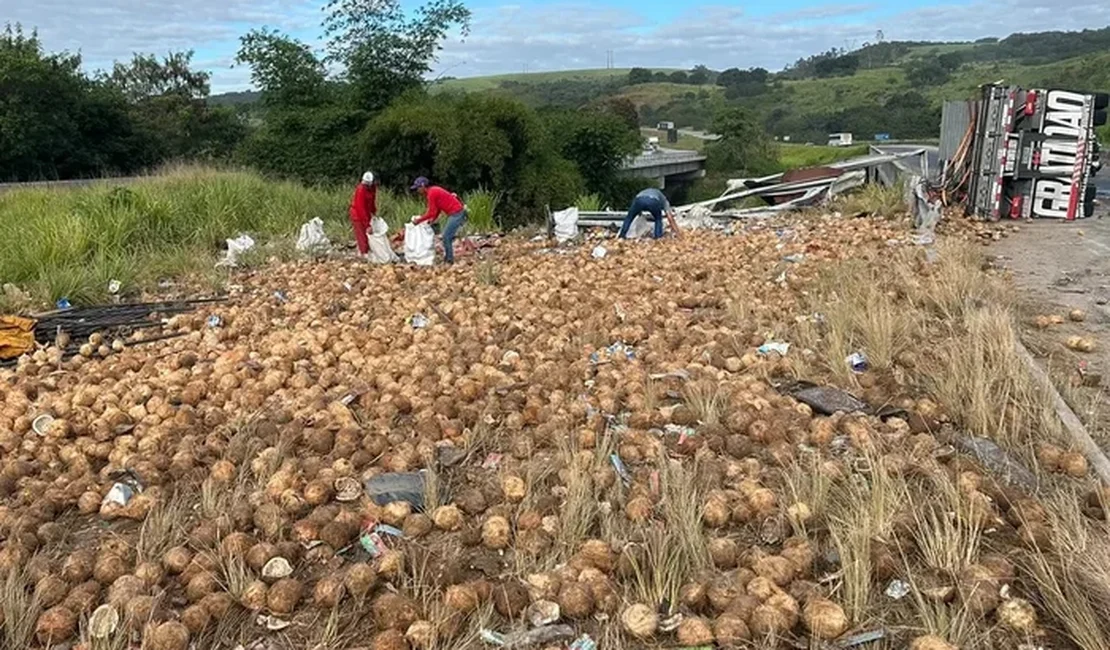 Motorista morre após caminhão capotar e carga de coco ser saqueada na BR-101