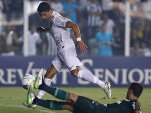 Santos vence o Palmeiras nos pênaltis e conquista título paulista