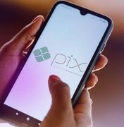 Pix é o principal meio de pagamento pelo segundo ano seguido no país