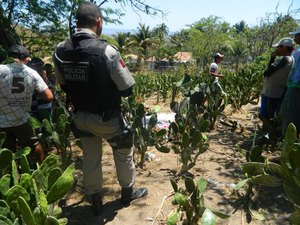 Agricultor é executado na zona rural de Girau