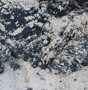 IMA divulga situação de praias alagoanas atingidas por manchas de óleo 