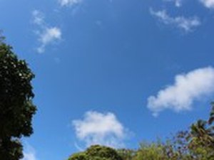 Previsão mostra nebulosidade variável e predomínio de sol no domingo