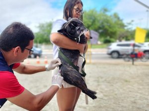 Com cobertura ampliada, Prefeitura realiza mutirão de vacinação antirrábica neste sábado (27)