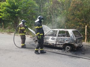 Carro fica totalmente destruído após pegar fogo na BR-104, em Messias