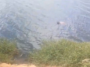 Homem é encontrado morto nas águas do Lago da Perucaba, em Arapiraca