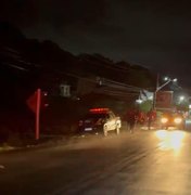 Veículo da SMTT de Maragogi colide contra cavalo na rodovia AL 101 Norte