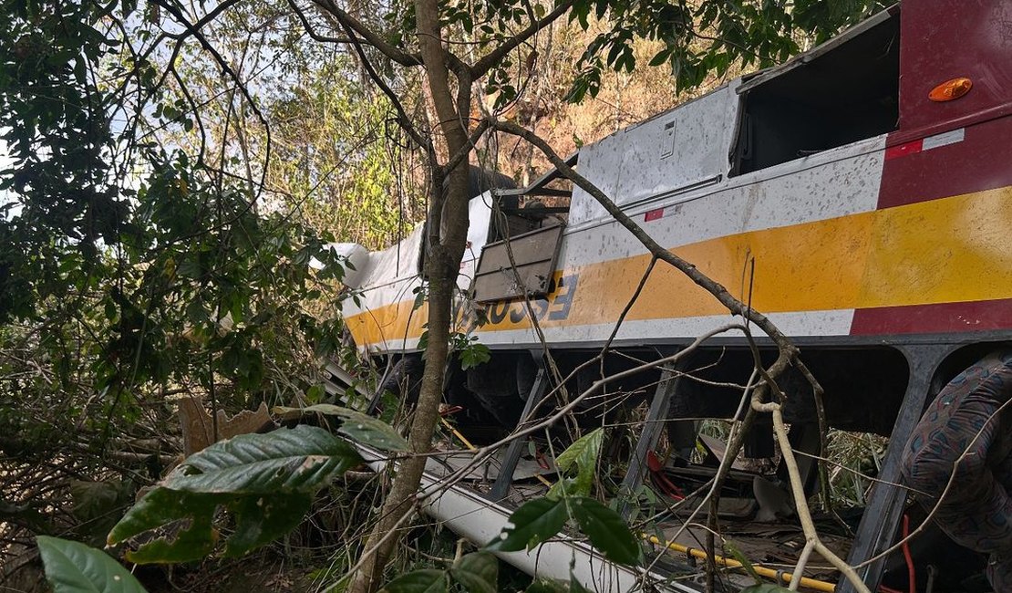 Sobrevivente deixa ônibus segundos antes do veículo cair em ribanceira e relata momento