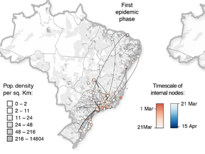 Estudo internacional aponta que Covid-19 entrou em AL pela região Sudeste
