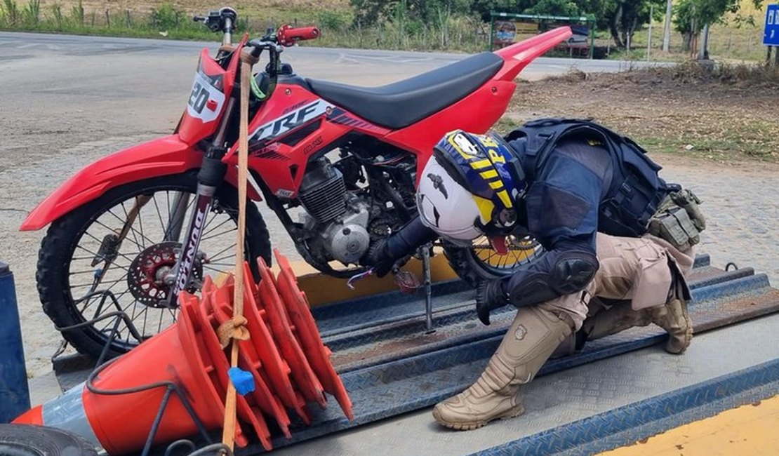 PRF prende homem por receptação e adulteração de sinais identificadores, em União dos Palmares