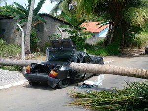 Queda de coqueiro deixa  carro destruído em Porto de Pedras