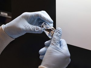 Medicamento antiviral desacelera avanço da Covid-19 em macacos
