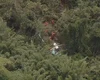 Três pessoas morrem em queda de helicóptero em Guaratiba, Zona Oeste do Rio