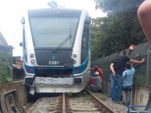 VLT colide contra boi e vagão descarrila em trecho da linha férrea em Satuba